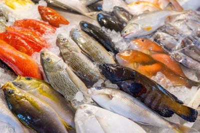 Is Seafood Becoming Less Safe to Eat?