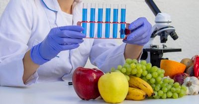 Food Safety Investigators Warn of Contaminated Produce Arriving Late in Season