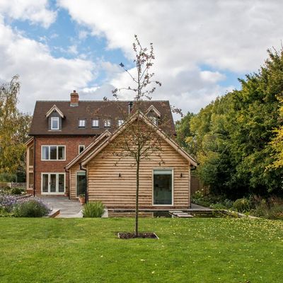 3 reasons you should plant a tree this winter – all the benefits of adding a new tree to your garden when it’s cold outside