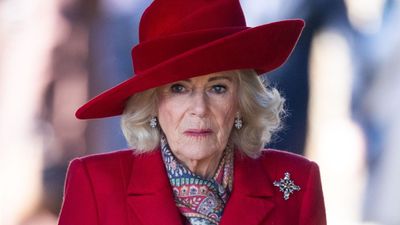 Queen Camilla reveals she was 'attacked' on a train in first personal account of violence against women