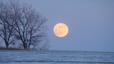 Full moons of 2026: When is the next full moon?