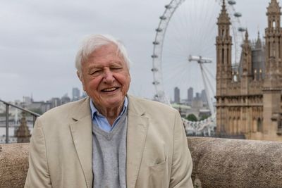 ‘Even he was surprised by some of the stories’: The making of David Attenborough’s Wild London