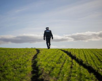 ‘It’s a matter of time before a farmer is seriously injured’: on the trail of hare coursers in Wiltshire