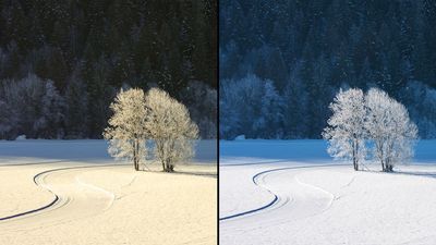 This is why your snow images look blue, yellow, or green… and this is how to fix them after you take the shot