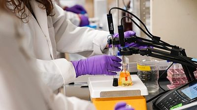 France’s ban on ‘forever chemicals’ comes into force today. Here’s what will change