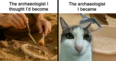 “Cat Distribution System In Effect”: 80 Funny Feline Memes To Make Your Day Way Better