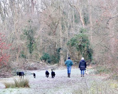 Snow and ice forecast for large parts of UK in new year cold snap
