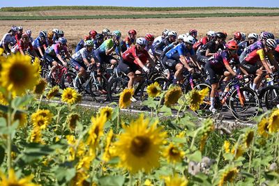Women's WorldTour Teams 2026 – A comprehensive guide to the top 14 teams in women's cycling