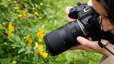 12 lenses of Christmas: Nikon redesigns a classic, while Sigma, Laowa and Viltrox work on world-first lenses