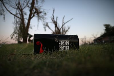 Two friends buy a house, only to find it’s hidden past – despite someone trying hard to keep it buried