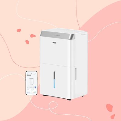 This DREO Smart Dehumidifier is fast to setup, easy to use and reduces humidity in next to no time — and it's all possible with an app