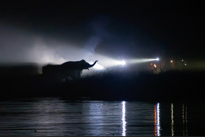 When Torchlight Meets Tusks: this hauntingly beautiful photo casts new light on the relationship between man and beast