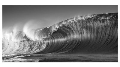 "Beyond perfect" weather conditions and stunning morning light come together to make HIPA's black-and-white photo of the year