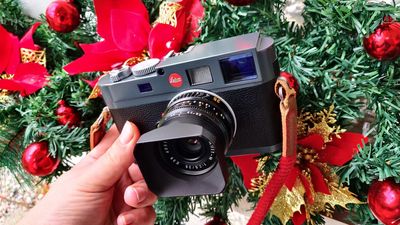 A change (of lens) is as good as a rest: How a 35mm saved me from my photography slump