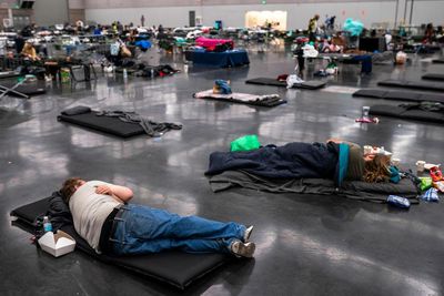 2025 was a big year for climate in the US courts - these were the wins and losses