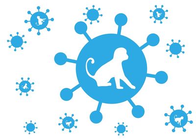 Monkeypox Symptoms in 2026: New Mpox Signs and How to Spot the Contagious Rash