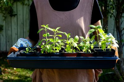 10 Budget-Friendly Garden Projects to Start Before Spring