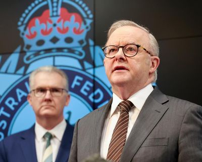 Anthony Albanese insists his short, sharp review into the Bondi attack is enough. What can it examine and what is off limits?