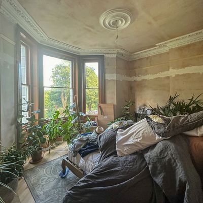 Renovating in 2026? These are the mistakes that nearly broke me – and the resolutions that saved my sanity