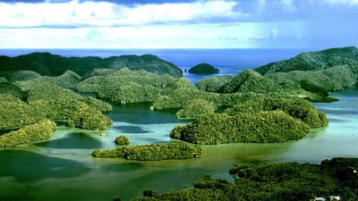 Tiny Island 'Palau' Agrees to Take 75 Immigrants from the US for $7.5m in Unusual Labour Arrangement
