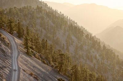 College freshman identified as one of three hikers found dead on California’s Mount Baldy