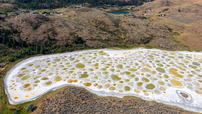 Spotted Lake: Canada's soda lake with colorful brine pools that are smelly and slimy 'like the white of an egg'