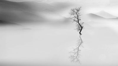 Don't make this black-and-white photography editing mistake! Here's how to fine-tune mono images like a pro