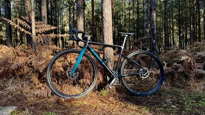 I tried an electric bike to get me back into gravel riding without the shame of being woefully unfit