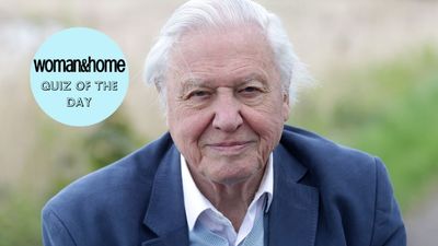 Adore Sir David Attenborough? Quiz yourself on his incredible life and career