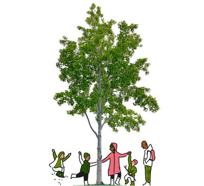 The secret to being happy in 2026? It’s far, far simpler than you think …