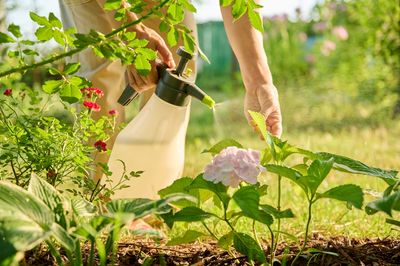 7 Pest Problems That Begin Long Before You See the Damage