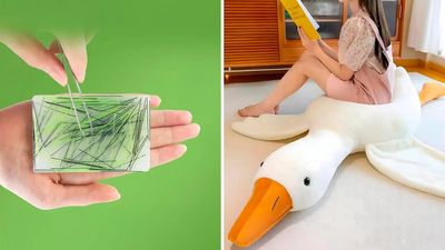 These 65 Kooky Things Are Selling Out On Amazon Because They're Pure Genius