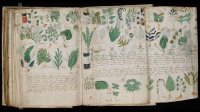 Mysterious Voynich manuscript may be a cipher, a new study suggests