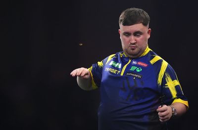 Ally Pally wasp attacks Luke Littler during World Darts Championship final