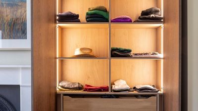 These Clever Divided Organizers for Jeans and Jumpers Have Completely Transformed My "Chaos Wardrobe"