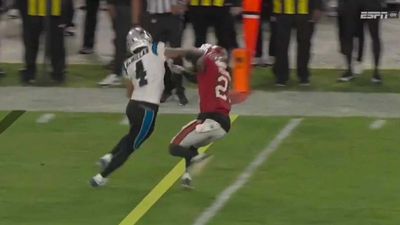 NFL Rules Expert Thinks Refs Got Crucial OPI Call Wrong in Bucs-Panthers