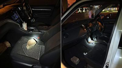 Woman injured after bricks hurled from overpass