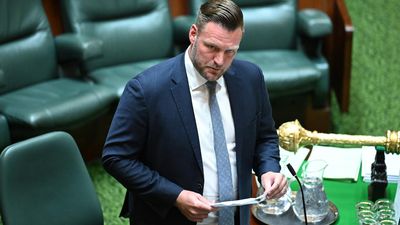 'Extremely challenging': Liberal star to quit politics
