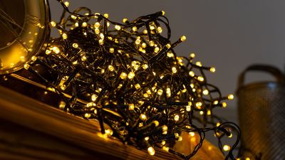 Don't throw it out! These 3 items always end up in the trash, but experts say you can use them to store your Christmas lights instead