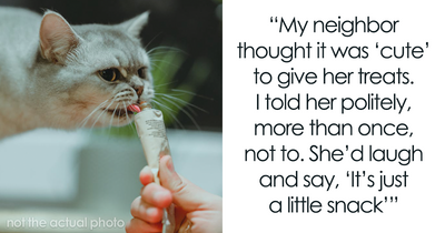 Woman Ignores Neighbor’s Warning To Stop Feeding Their Cat, Starts Getting 5 AM Wake-Up Meows
