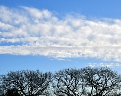 Country diary: The calm after the storm