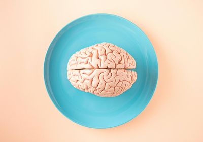 The underrated protein building block you brain needs for a sharper you in 2026