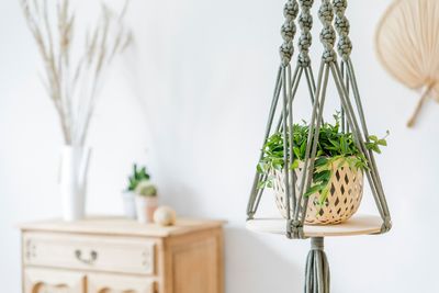 Are Expensive Planters Really Better for Plant Health?