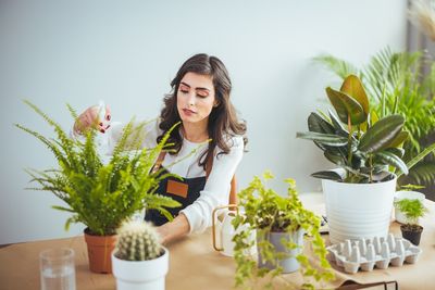 How Can You Make Your Home More Accommodating For A New Plant?