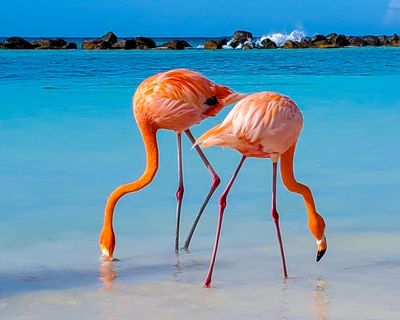 Nine scientific breakthroughs I’d like to see in 2026 – from earworms to procrastination