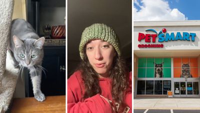 Woman takes cat to PetSmart Hotel. Then they give her cat to the wrong family—who ends up losing her: ‘The lack of empathy is concerning’