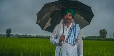 How I’m helping rice farmers in India harness the power of fungi in the soil