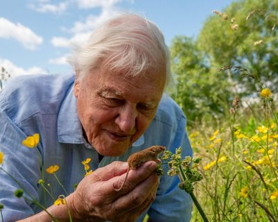The magic of David Attenborough is that he reminds us to appreciate the world
