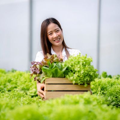 8 Foods That Are Suddenly Cheaper Due to Overstock