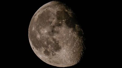 Catch the moon dancing with bright star Regulus tonight